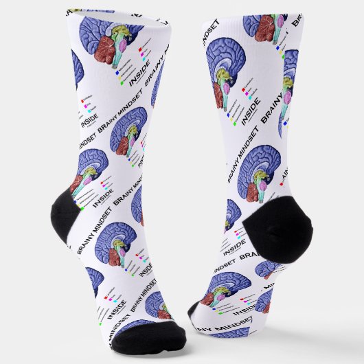 Hirnstamm in der anatomischen Hirnhöhe Socken (Gewinkelt)
