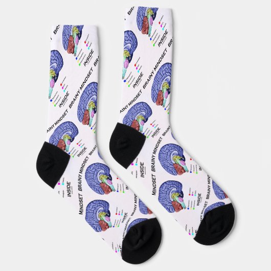 Hirnstamm in der anatomischen Hirnhöhe Socken (Rechts)