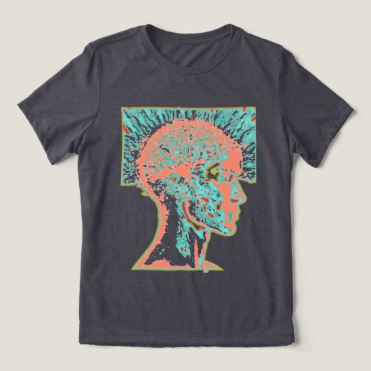 Hirnsturm Tri-Blend Shirt (Design Vorderseite)