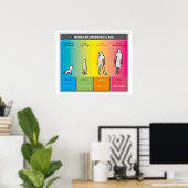 Hirnwellen nach Altersdiagramm Regenbogen Poster (Heimbüro)