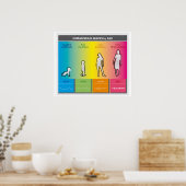 Hirnwellen nach Altersdiagramm Regenbogen Poster (Küche)