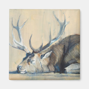 Hirsch 2014 magnet