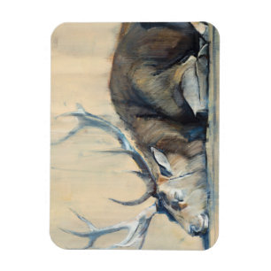 Hirsch 2014 magnet