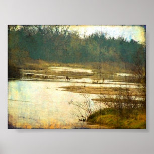 Hirsch auf der Platte bei Kearney, Nebraska Poster