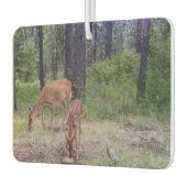 Hirsch Autolufterfrischer (Links)