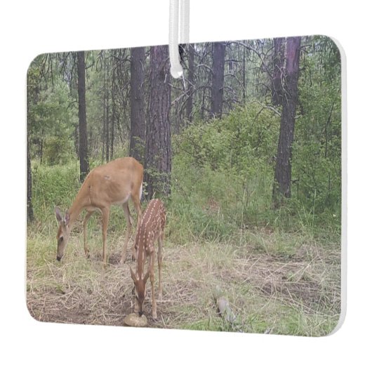 Hirsch Autolufterfrischer (Links)