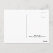 Hirsch, Buchse, Wildtiere, Postkarte (Rückseite)