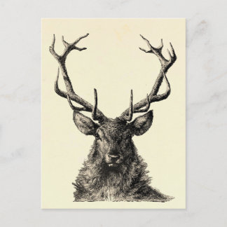 Hirsch Druck, Vintage, Skandinavisch Postkarte