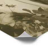 Hirsch Druiden Hexenversammlung Kunstfotografie Dr Poster (Ecke)