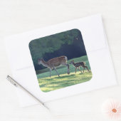 Hirsch, Elternkind, Morgen Quadratischer Aufkleber (Umschlag)