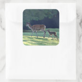 Hirsch, Elternkind, Morgen Quadratischer Aufkleber (Tasche)
