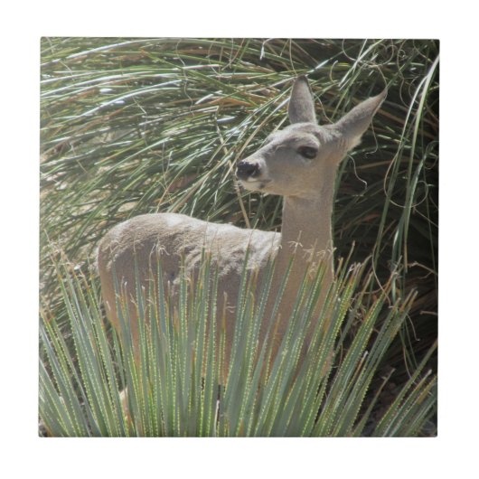 Hirsch Fliese (Vorderseite)