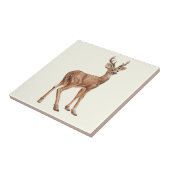 Hirsch Fliese (Seite)