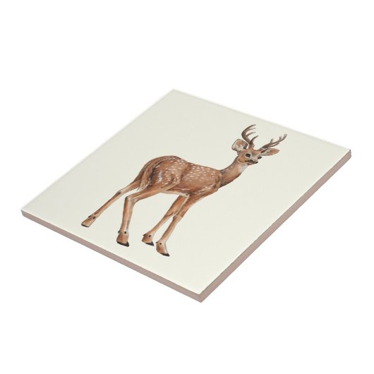 Hirsch Fliese (Seite)