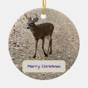 Hirsch-Foto-Ornament Keramik Ornament