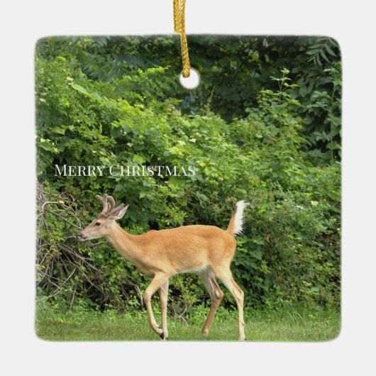 Hirsch-Foto-Ornament  Keramikornament (Vorderseite)