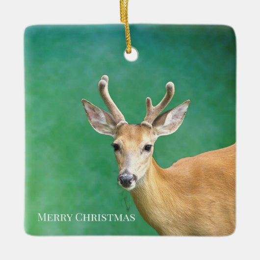 Hirsch-Foto-Ornament Keramikornament (Vorderseite)