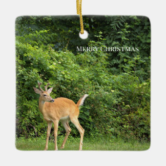 Hirsch-Foto-Ornament Keramikornament