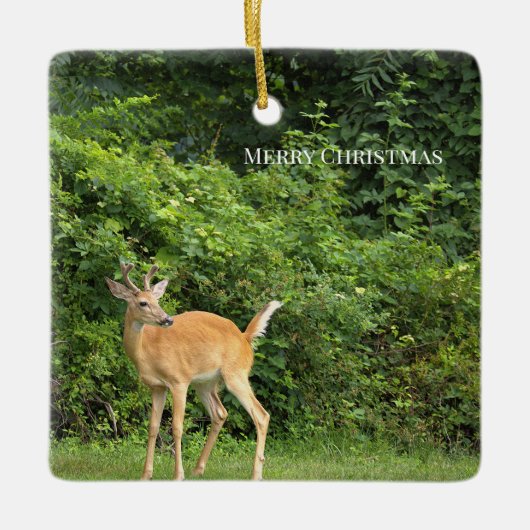 Hirsch-Foto-Ornament  Keramikornament (Vorderseite)