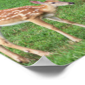 Hirsch-Foto-Poster Poster (Ecke)