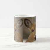 Hirsch-Foto-Tasse Kaffeetasse (Mittel)