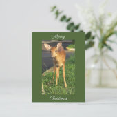 Hirsch-Foto-Weihnachts-Postkarte Postkarte (Stehend Vorderseite)
