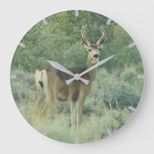 Hirsch Große Wanduhr (Vorderseite)