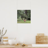 Hirsch im Park Poster (Küche)