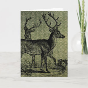 Hirsch im Vintage-Stil Karte