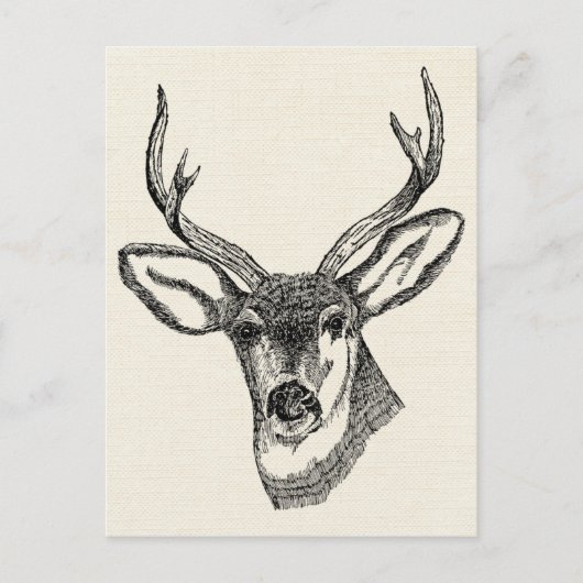 Hirsch im Vintage-Stil Postkarte (Vorderseite)
