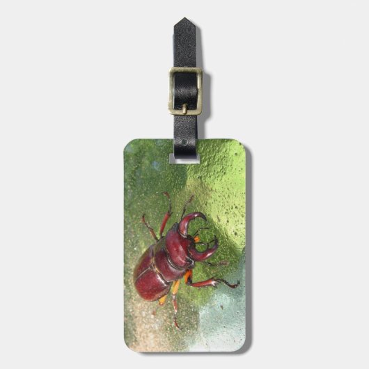 Hirsch-Käfer ~ Gepäckanhänger (Vorderseite vertikal)