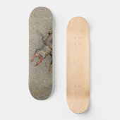 Hirsch-Käfer-Skateboard Skateboard (Vorderseite)