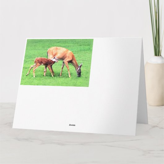 Hirsch Karte (Rückseite)