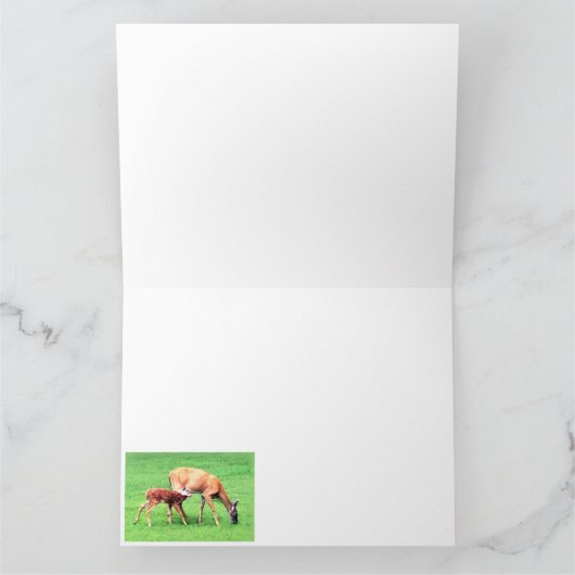 Hirsch Karte (Innenseite)