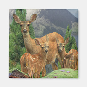 Hirsch Kunst Magnet