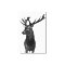 Hirsch