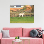Hirsch Leinwanddruck (Insitu (Wohnzimmer))