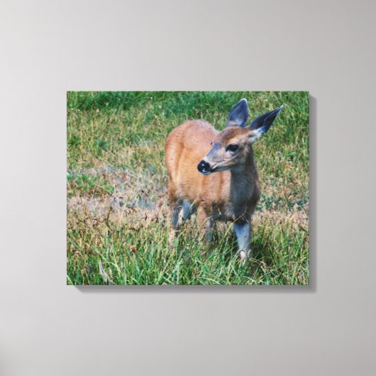 Hirsch Leinwanddruck (Vorderseite)