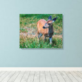 Hirsch Leinwanddruck (Insitu (Holzboden))