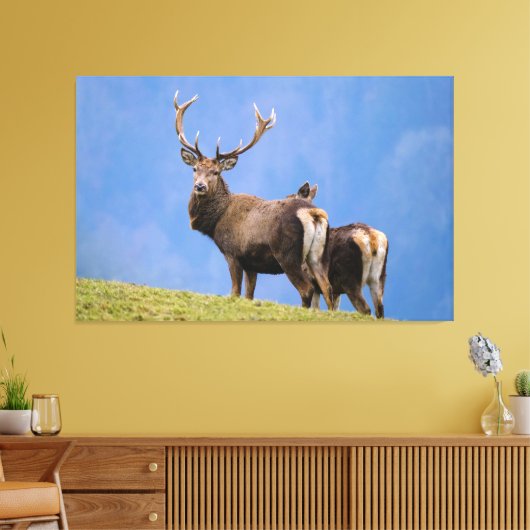 Hirsch Leinwanddruck (Insitu (Wohnzimmer))