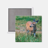 Hirsch Magnet (Vorderseite/Rückseite)