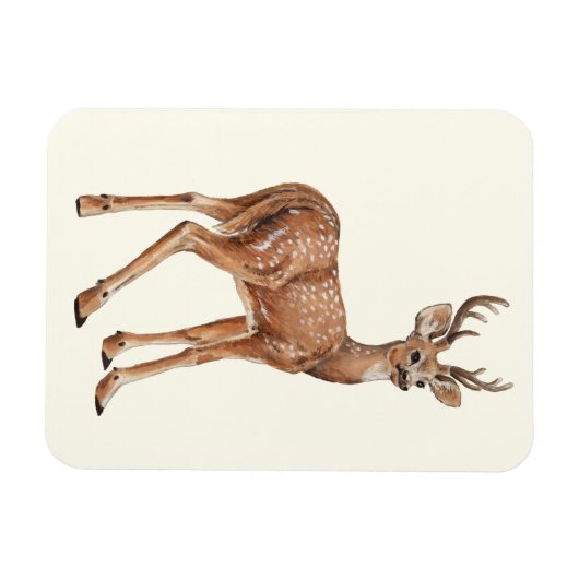 Hirsch Magnet (Horizontal)