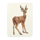 Hirsch Magnet (Vertikal)