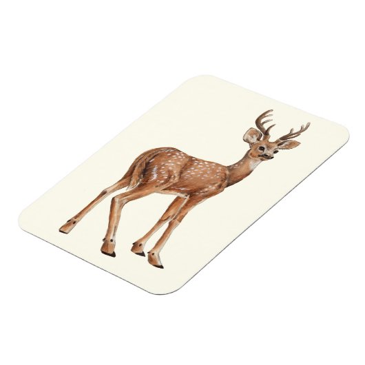 Hirsch Magnet (Linke Seite)