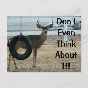 Hirsch mit der Postkarte für die Höhe