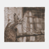 HIRSCH MIT GEWEIH FLEECEDECKE (Vorderseite (Horizontal))