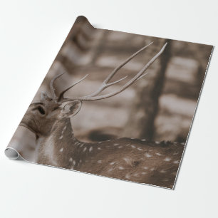 HIRSCH MIT GEWEIH GESCHENKPAPIER