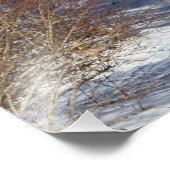 Hirsch mit Schnee und Brush Fotodruck (Ecke)