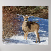 Hirsch mit Schnee und Brush Poster (Vorne)