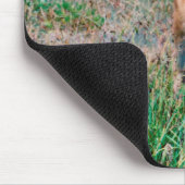 Hirsch Mousepad (Ecke)